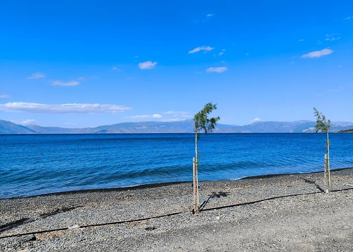 Palm Tree House By The Semesterbostad *