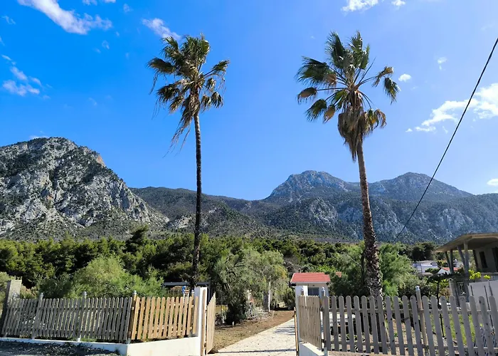 別荘 Palm Tree House By The