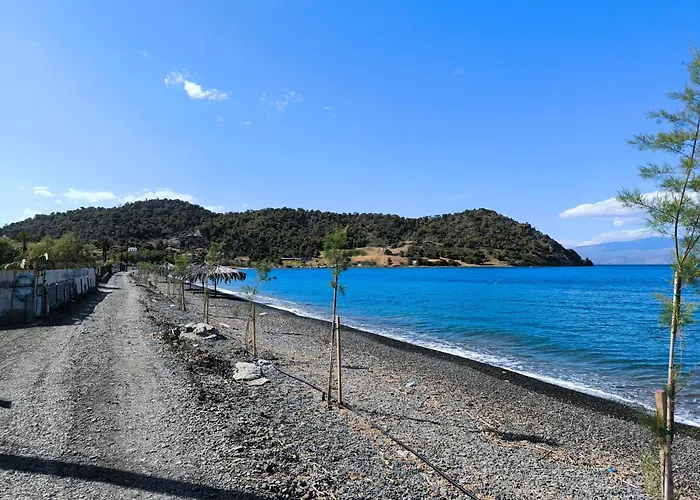 Semesterbostad Palm Tree House By The *