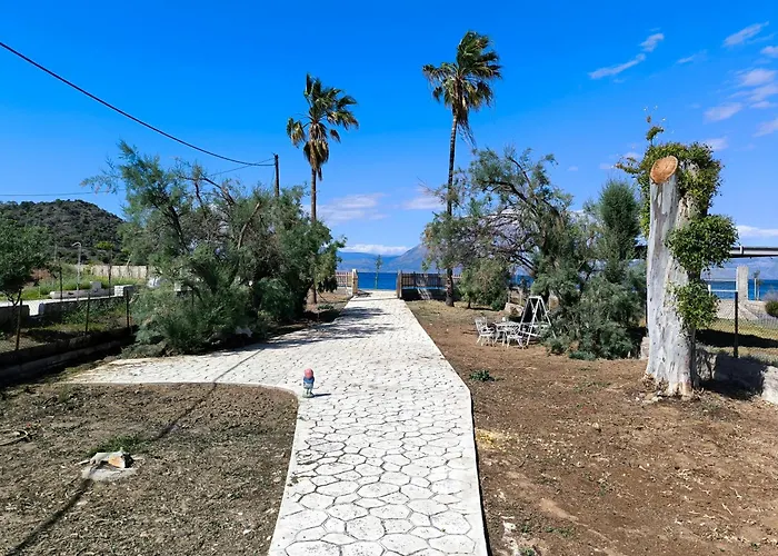 別荘 Palm Tree House By The *