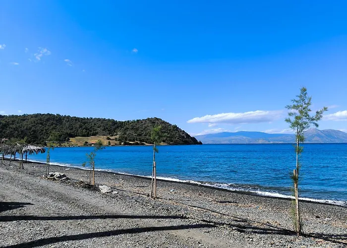 Palm Tree House By The Skhoínos